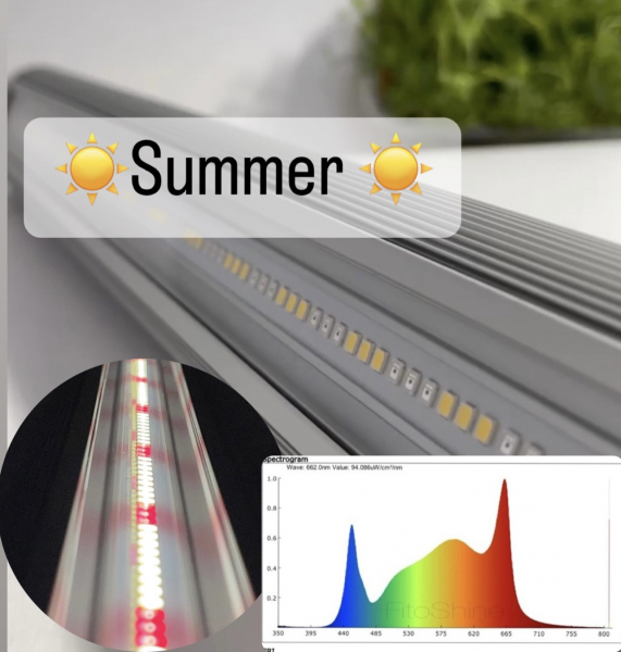 Фитолампа SUMMER